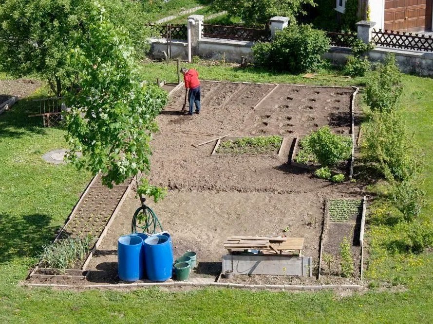 Blick über das große Gemüsebeet im Garten: im Hintergrund steht ein Mann mit rotem Pullover und arbeitet gerade mit einem Rechen 