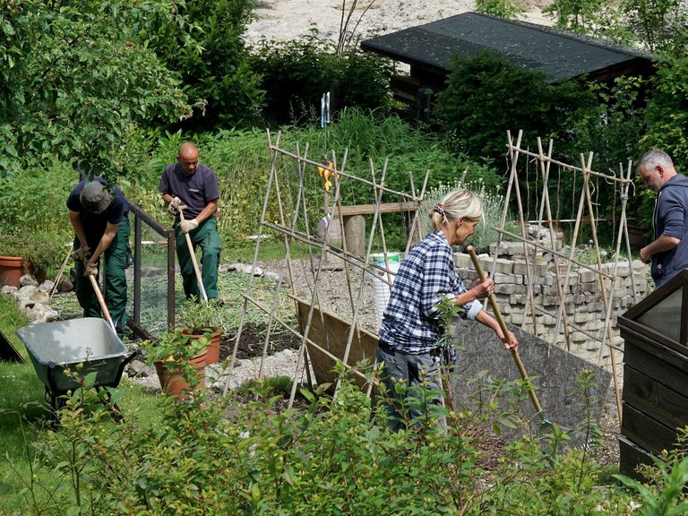 Gartenarbeit: eine Frau und drei Männer arbeiten am Gemüsebeet